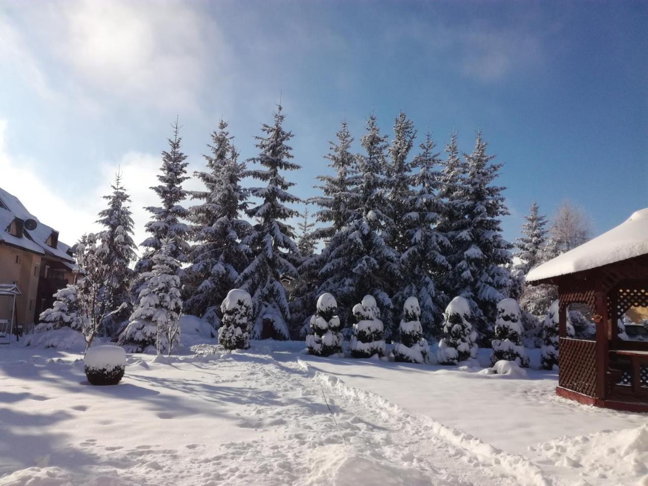 Apartmani Nika Zlatibor Exterior photo